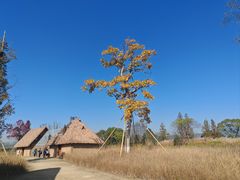 -良渚古城遗址公园