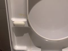 -上海虹桥西郊庄园丽笙大酒店