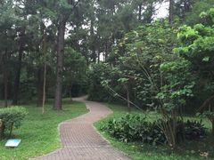 -金山植物公园