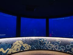 -沈阳海洋探索中心