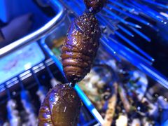 -很久以前羊肉串(打浦路店)