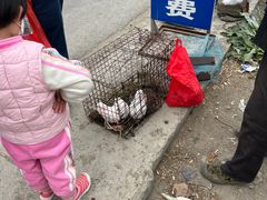 -示范集贸市场