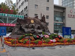 -中国人民解放军第九医学中心(306医院)