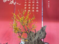 -颐和园