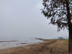 -四明湖