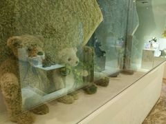 -济州岛泰迪熊博物馆