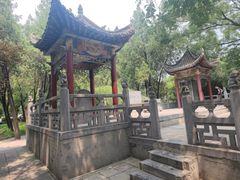 -洛阳白马寺