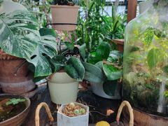 -北马山庄植趣咖啡