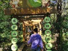-大岭沟猕猴桃谷风景区