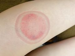 -武氏真功夫(第15店·正阳中路店)