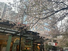 -玛格萝妮比萨屋(四平店)