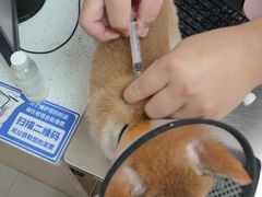 -爱诺耐芙动物医院(万博店)