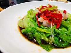 罗马生菜-三强鸽子(胜利路店)