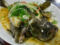 清蒸石斑鱼-源海渔村·现捞海鲜(大角湾店)