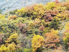 -妙峰山风景名胜区