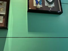 -上海昆虫博物馆