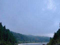 -武陵山森林公园