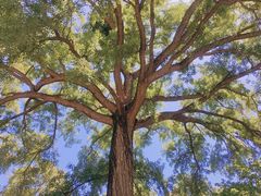 -天津盘山风景名胜区