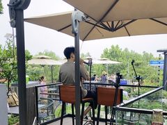 -蘇河湾·新鲁菜·泰山宴(泰山店)