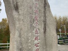 -合肥滨湖国家森林公园