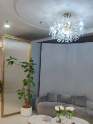 -八佰伴8008星级形象店