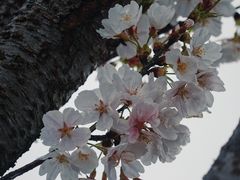 -晓琦农家菜馆·地道农家菜