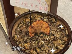 -菌之家·专业纯野生菌火锅·特色炒菌