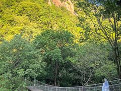 -洛阳花果山景区