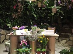 -BOBLOOM花店(宝龙旭辉广场店)