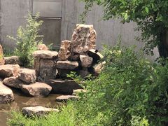 -沈阳森林动物园