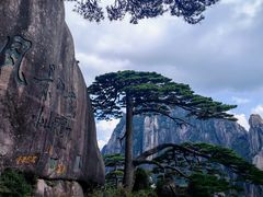-黄山风景区