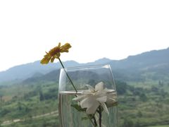 -成都蒲江花样年福朋喜来登度假酒店·宜客乐西餐厅