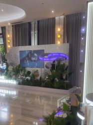 -深圳美莱医疗美容医院