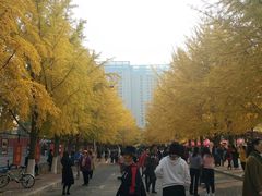 -辽宁大学(崇山校区)
