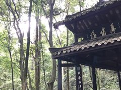 -峨眉山报国寺