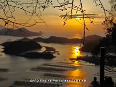 -花竹村