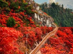 -白帝城·瞿塘峡景区