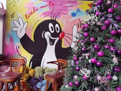 -布拉格餐厅· 中欧捷克菜(全国首店)