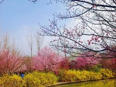 -洛阳市隋唐城遗址植物园