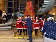 -视界美食自助餐厅·石家庄希尔顿酒店