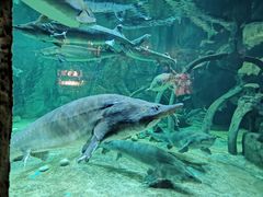 -华夏文旅海洋公园