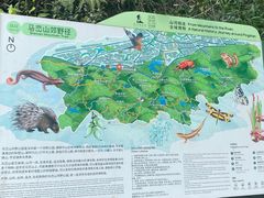 -马峦山郊野公园
