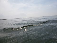-乌梁素海景区