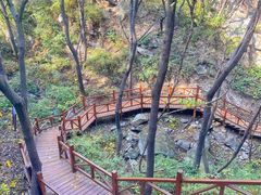 -大岭沟猕猴桃谷风景区
