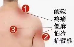 -雅曼妮spa美容养生