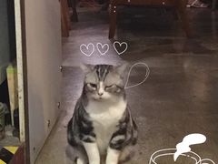 -咖法森林·咖啡  酒吧(天河店)