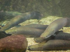 -太平洋海底世界