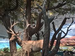 -中国湿地博物馆
