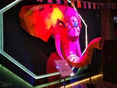 -疯克大象美式烤肉餐厅