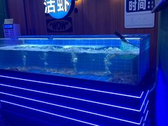 -0048鲜活香辣虾·火锅(铜陵路店)